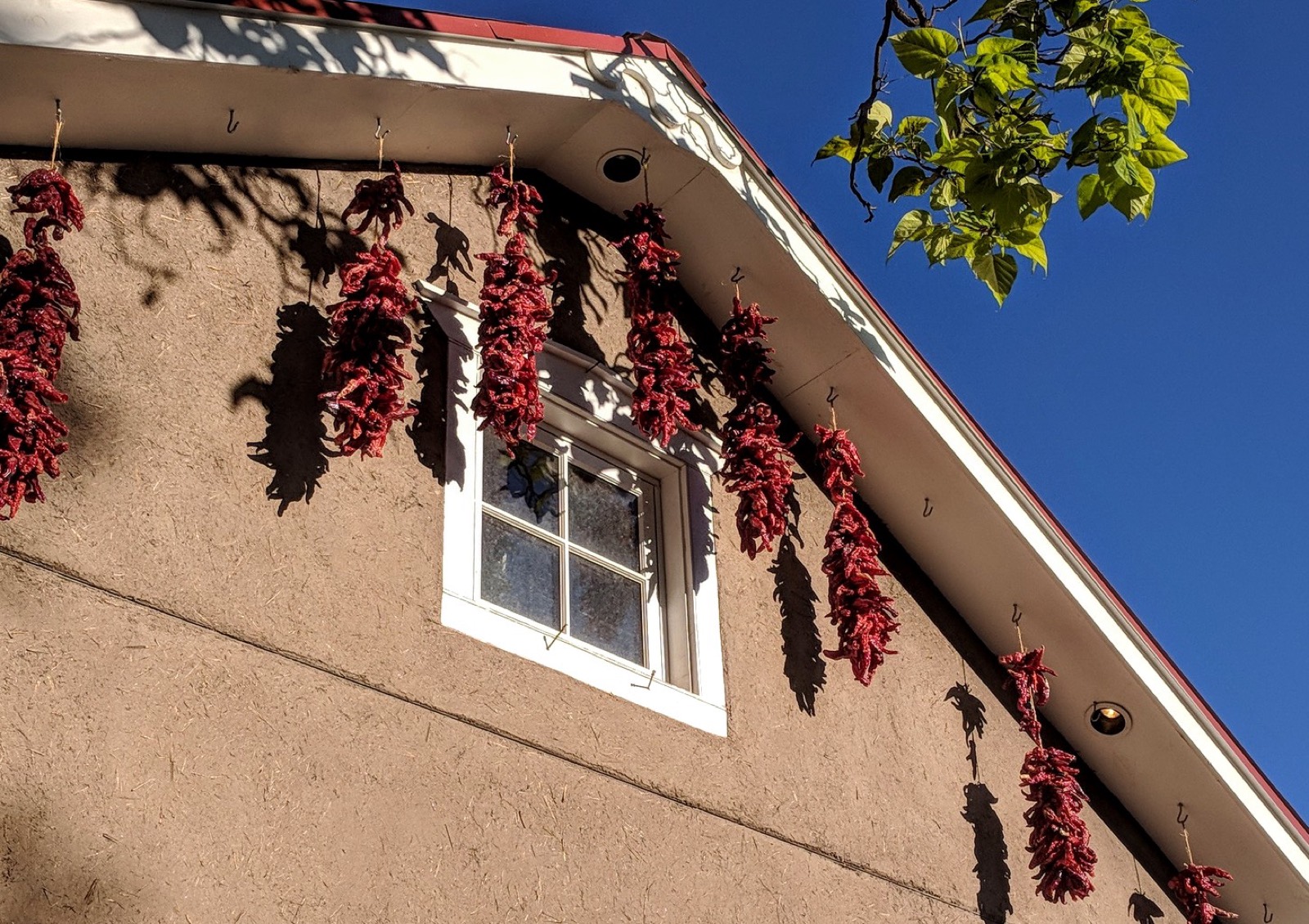 Red chile ristras drying on an adobe wall in Chimayó, New Mexico